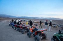 Marrakech Palmeraie Quad Adventure with Transfers