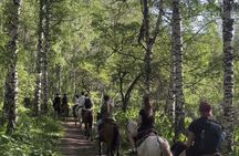 Scenic Horseback Riding Experience in Ile-Alatau National Park