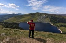 Dublin Wicklow Mountains & Dublin Highlights Tour