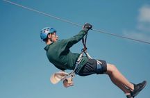 Zipline Adventure Tour Over the Coastline of Petty Harbour
