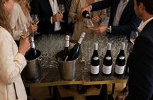 From Paris Loire Valley Half Day Castle and Wine Tour