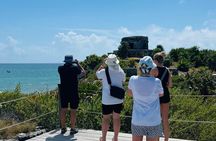 Private Tour Tulum, Turtles and Cenote Two Eyes