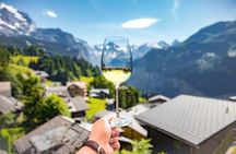 Small Group Niagara Wine Tour from Toronto with Lunch