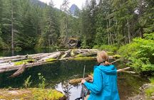 Seattle: North Cascades Highlights (catered lunch)