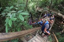 Damajagua Waterfalls Adventure Tour