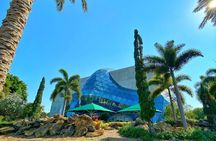 St. Petersburg Sightseeing Guided Tour with Beach Sunset