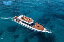 Bali to Nusa Penida: Premium Private Full Day Tour-All Inclusive