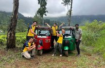 Nuwara Eliya Tea Plucking-Tasting Hidden Waterfalls Experience