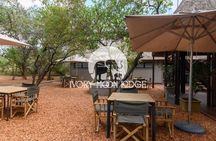 5-Day Luxury Ivory Moon Lodge Safari in Kruger National Park