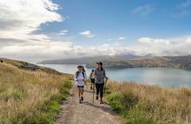 Half-Day Godley Head Coastal Hike from Christchurch
