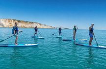 Paddle Boarding with Seven Sister View
