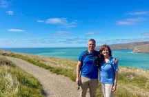 Private Guided Full-Day Godley Head Coastal Hike with Picnic