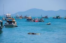 Kota Kinabalu 3 Hour Coastal Fishing and Island Tour
