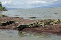 2-Day Awash National Park Safari & Doho from Addis Ababa