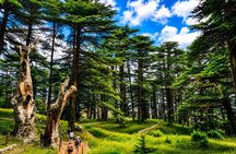 Qadisha Valley, Cedars Hike & Kozhaya | Small-Group Tour Beirut