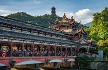 Wolong Panda Reserve & Dujiangyan Private Guided Tour with Lunch