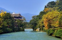 Wolong Panda Reserve & Dujiangyan Private Guided Tour with Lunch