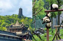 Wolong Panda Reserve & Dujiangyan Private Guided Tour with Lunch