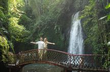 1 Day Private Ubud Tour in Ubud All Inclusive