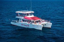 Koh Tao 3 Dive Catamaran Diving Experience with MV Chaba