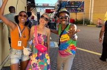 River Carnival Tour with Fantasy and Samba