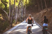 Malaga: E-Bike 3-Hour Sightseeing Tour