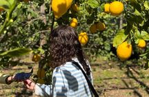Sorrento: Gluten Free Cooking Class with a Professional Chef