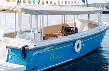 Private Daytime Picnic Boat Cruise (Up to 6 Passengers)