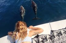 Dolphin Watching in Manilva