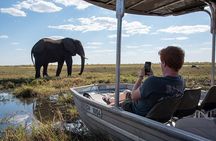 Full Day Chobe National Park Safari from Livingstone