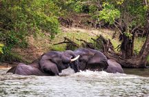 Full Day Chobe National Park Safari from Livingstone