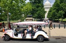 Washington DC: Easy Sightseeing Guided Monuments Tour by E-Cart
