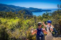Tui: 20 Day Auckland to Christchurch Adventure Tour