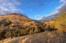 Bozeman Wildlife and Scenery Tour