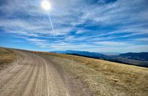 Bozeman Wildlife and Scenery Tour