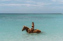 Bali Horse Ride and swimming