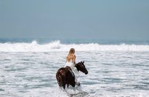 Bali Horse Riding Sunset