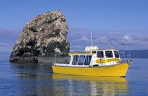 3 Hour Scenic Birding Cruise