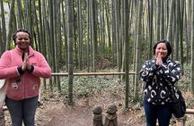 Arashiyama & Nara Highlights: One-Day Private Tour Adventure