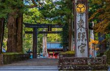 Nikko World Heritage Private Tour from Tokyo