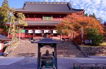 Nikko World Heritage Private Tour from Tokyo