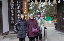 Morioka Half-Day Private Tour with Government-Licensed Guide