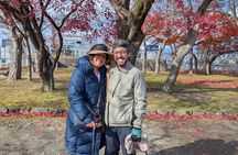 Morioka Half-Day Private Tour with Government-Licensed Guide