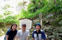 Tsuruoka & Dewa-Sanzan Full-Day Private Tour with Government-Licensed Guide