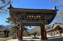 Mt.Seoraksan, Nami Island, and Korean Garden from Seoul