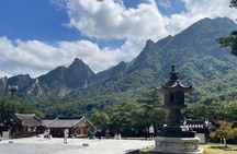 Mt.Seoraksan, Nami Island, and Korean Garden from Seoul