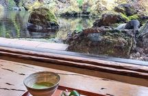 Kyoto's Best Gems - Private Shore Excursion from Kobe Ports