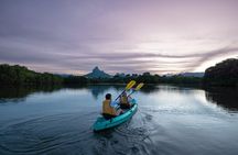 Mauritius Guided Sunrise Kayak Tour on the Tamarin River