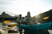 Mauritius Guided Sunrise Kayak Tour on the Tamarin River