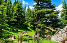 Full-Day Guided Tour of Northern Lebanon with Hotel Pickup
